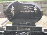 image of grave number 638448